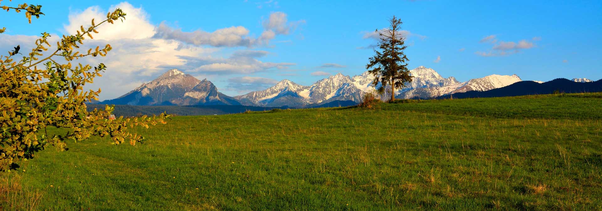 Sommerhus til leje bolig i Polen Tatrabjergene Zakopane